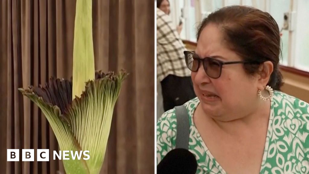 Australians react to smell of plant in bloom