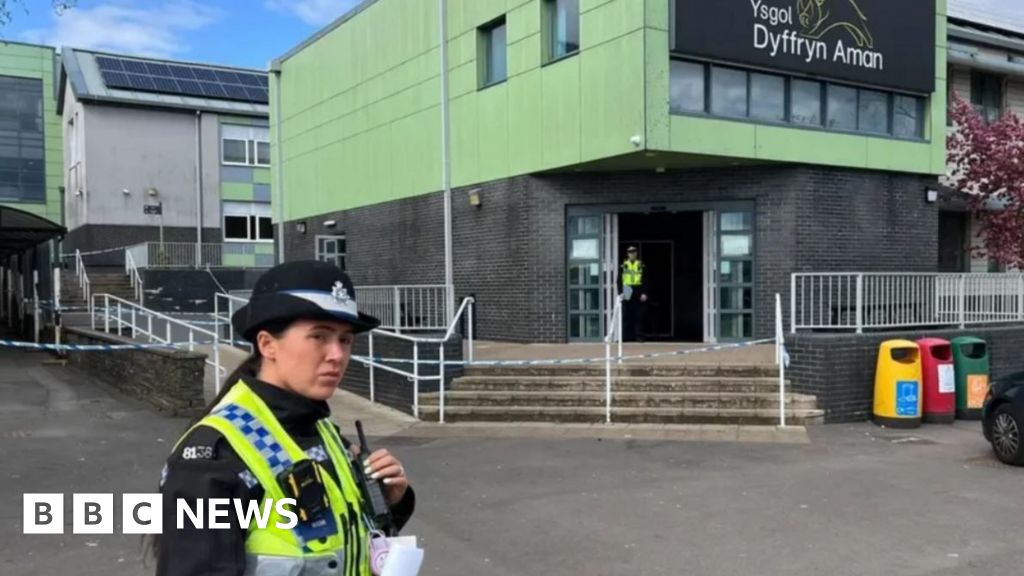 School stabbings: Ammanford pupil 'vowed to do something stupid'