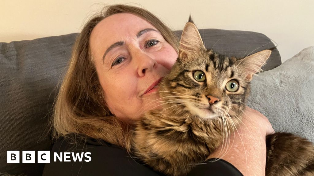 Pet owners pay thousands of pounds to save their animals' lives