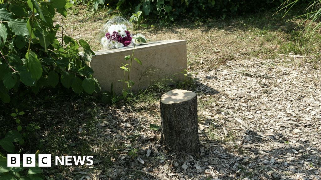 Macron condemns act of hatred after tree memorial for murdered Jew is cut down