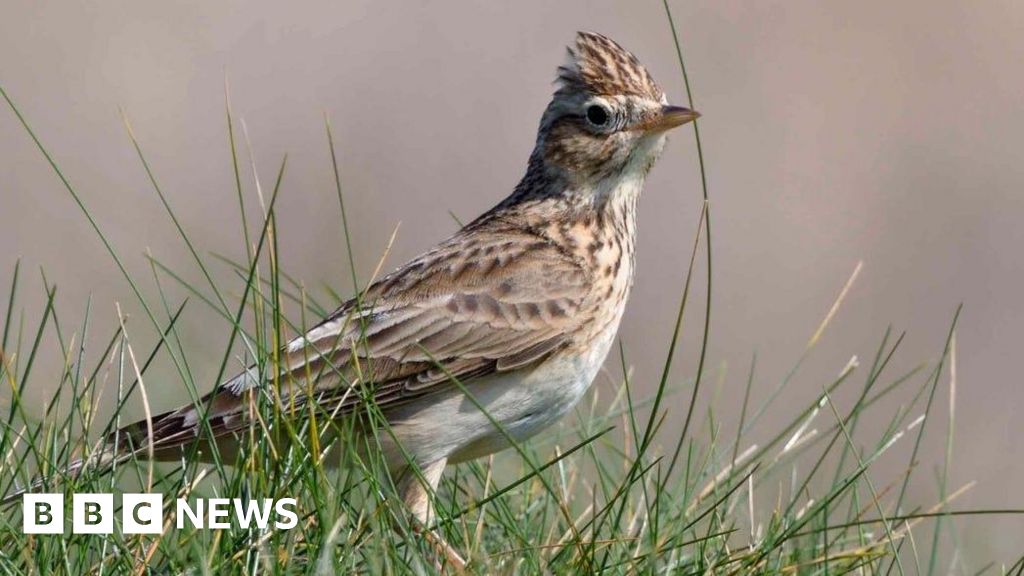 Construction begins on £7.3 million Sandlilands nature reserve