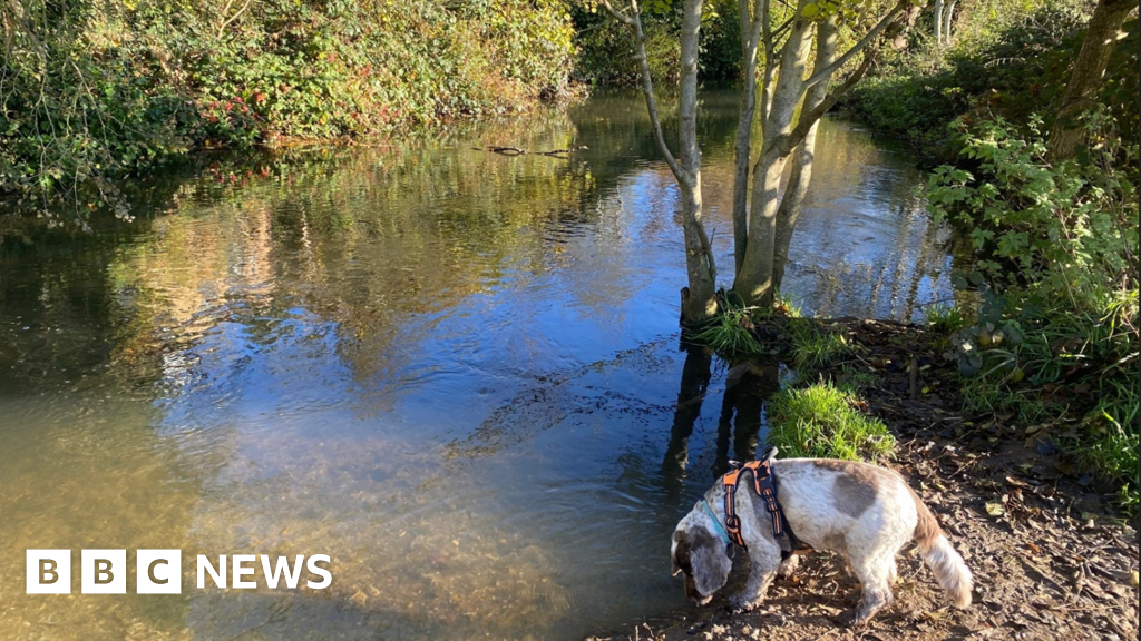 Works begin to restore ecosystem of St Albans rare chalk stream