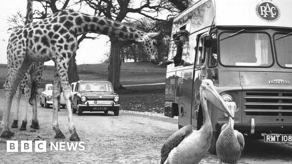 World's first safari park celebrates 60 years