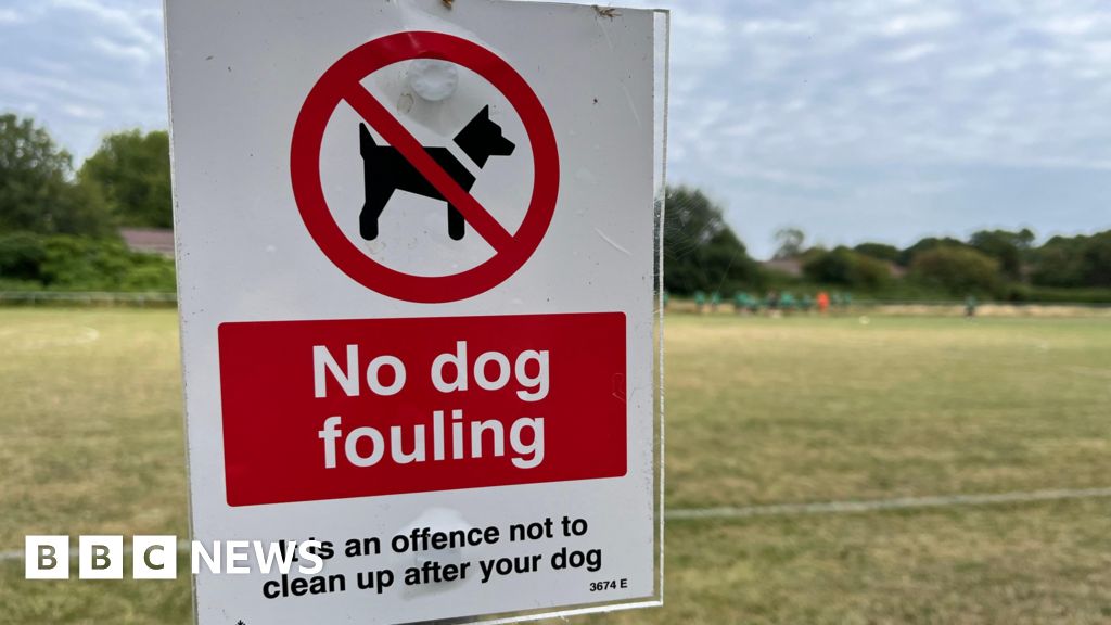Are You Neglecting Your Dog's Health? Study Links Uncollected Poo to Broader Pet Neglect