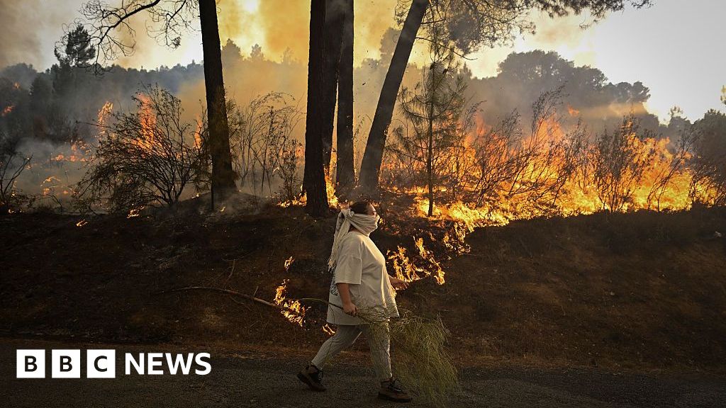 EU to send wildfire help to Spain as death toll rises