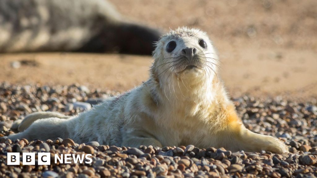 National Trust warns UK's most precious heritage at risk from extreme weather