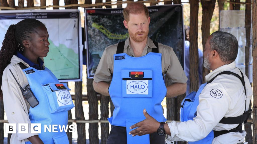 Harry in Diana's footsteps with landmine walk in Angola