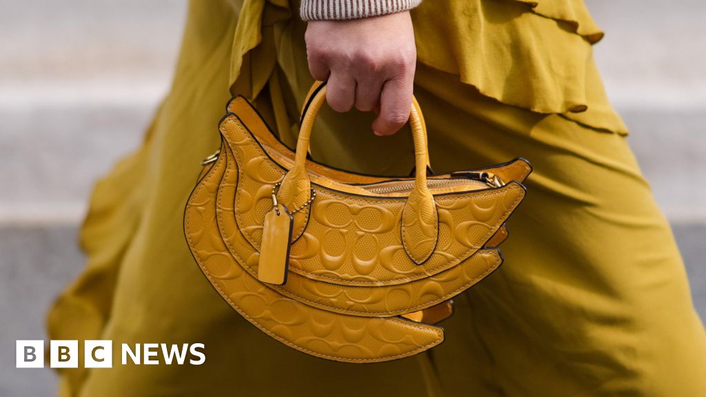 US watchdog sues to block $8.5bn handbag takeover