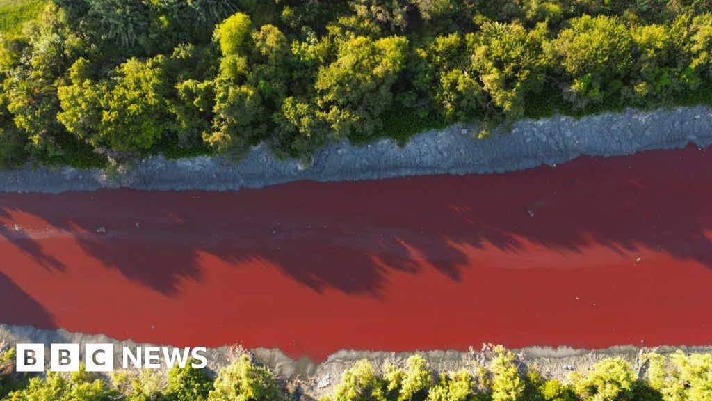 Kanal Argentina di pinggiran Buenos Aires berubah menjadi merah cerah