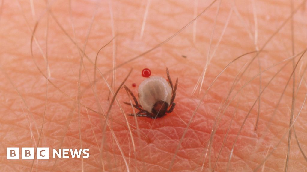 Lyme disease increase risk in Scotland due to climate change