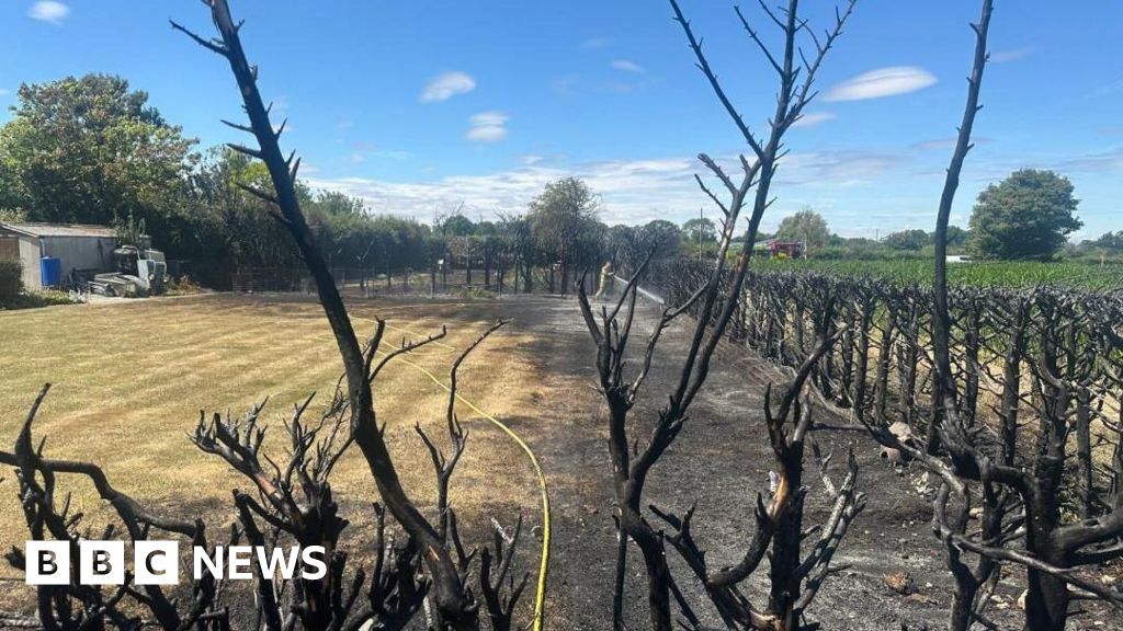 Bonfire Fires Spread to Gardens in Essex, Shropshire Amid High Fire Risk
