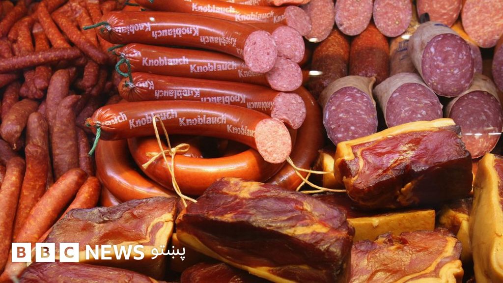 اسلامي کنفرانس کې د خوګ غوښه؛ پر جرمني نیوکه BBC News پښتو