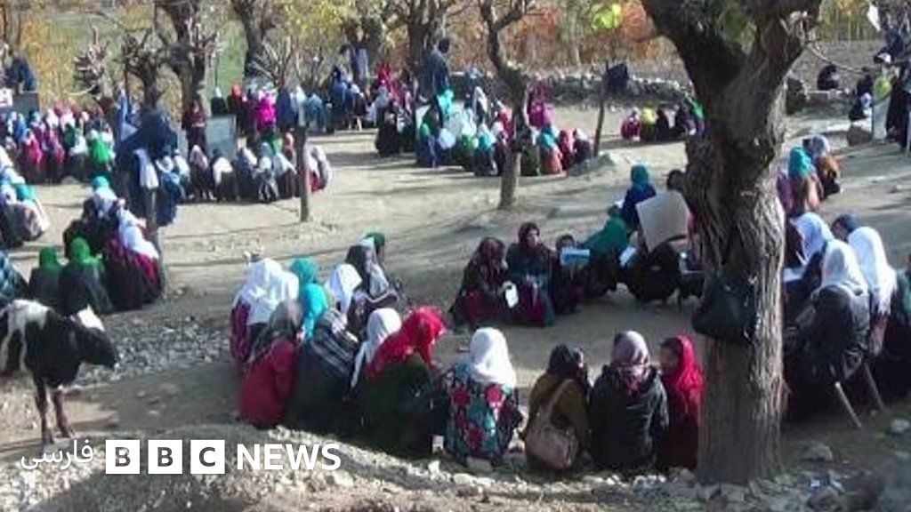 طالبان مانع شرکت ده ها دختر در کنکور شدند دولت امروز از آنها امتحان می گیرد Bbc News فارسی