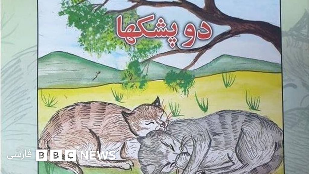 چرا غلط نویسی فارسی در افغانستان تبدیل به هنجار شده Bbc News فارسی