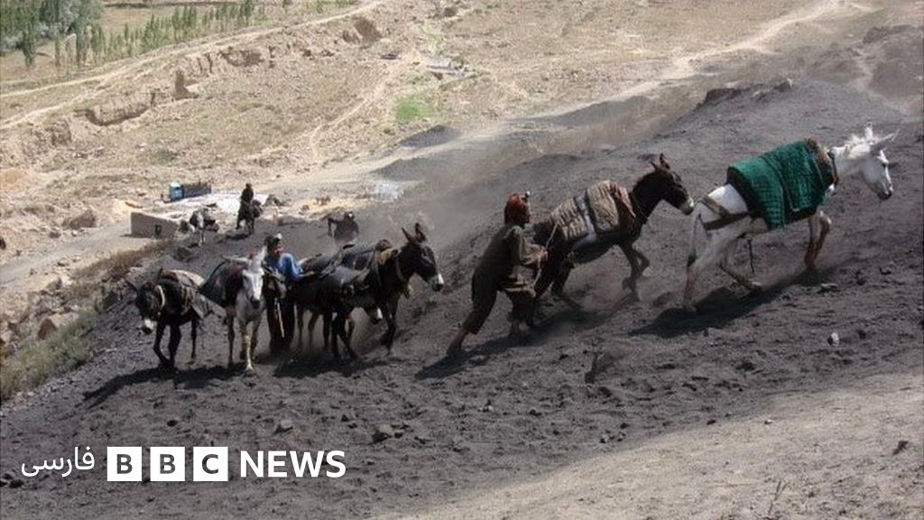 پول کم و امکانات ناچیز وضعیت کارگران معدن در افغانستان Bbc News فارسی