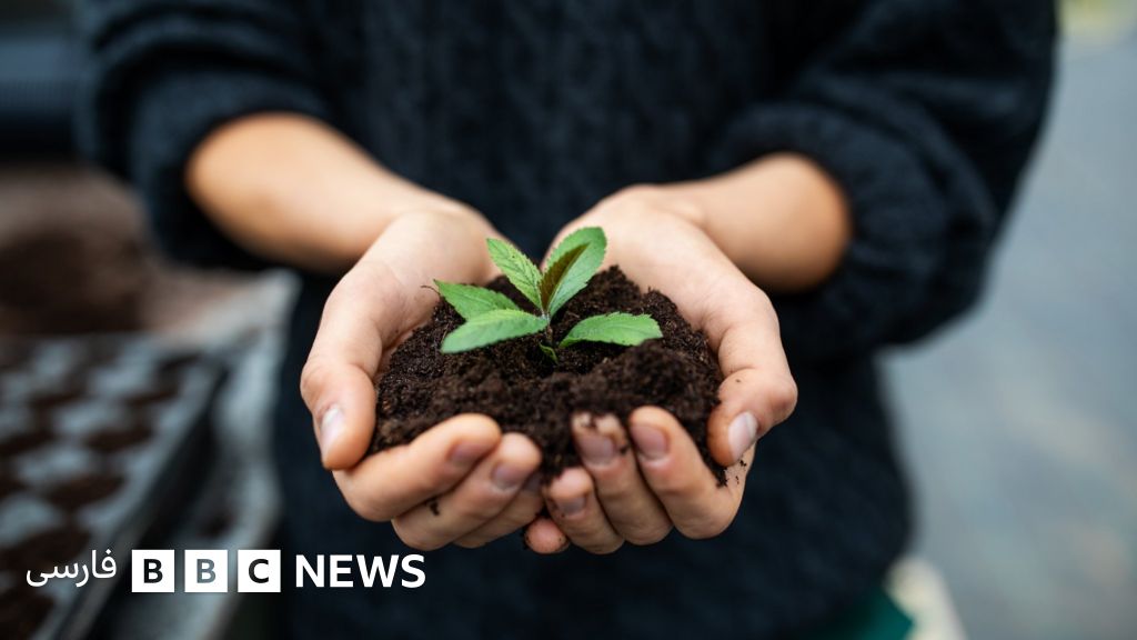 چرا خاک و کیفیت آن مهم است؟ - BBC News فارسی