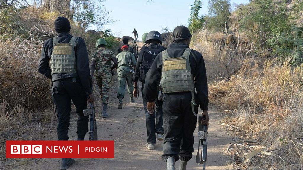 'Cameroon army video': Amnesty International say dem get evidence of ...