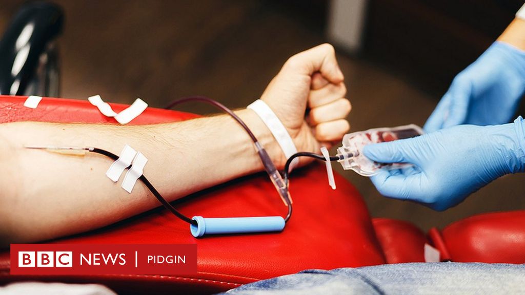 World Blood Donor Day 2019: Tins about blood donation wey no true - BBC  News Pidgin