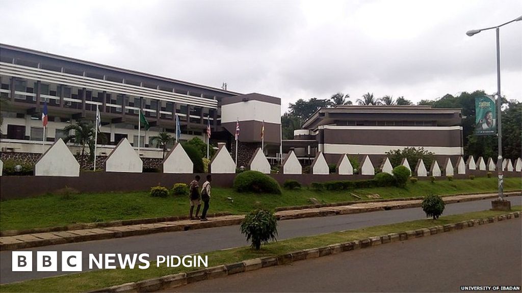 University of Ibadan na Nigeria best school? BBC News Pidgin