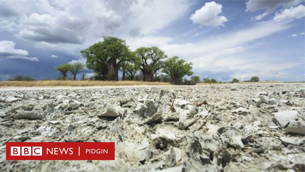 Lake Makgadikgadi Human Being Originally Come From Botswana Bbc News 