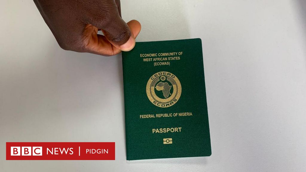 nigerian-passport-application-status-wetin-single-parent-need-to-get