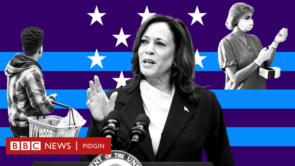 Wetin be Kamala Harris stand on immigration, abortion, Israel-Gaza war, gun laws and odas