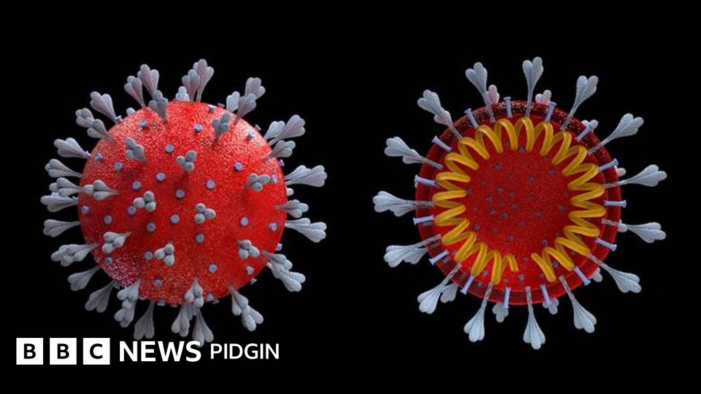 Coronavirus Symptoms Ghana Don Record First Cases Of Covid 19 Outbreak 