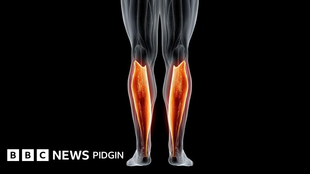 Soleus muscle Everything you need to know about di "second heart" and