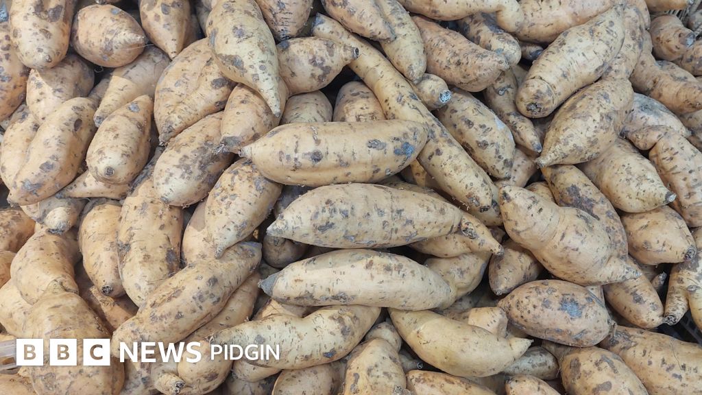 Boost Your Health with Sweet Potatoes: A Nigerian's Guide to the Benefits