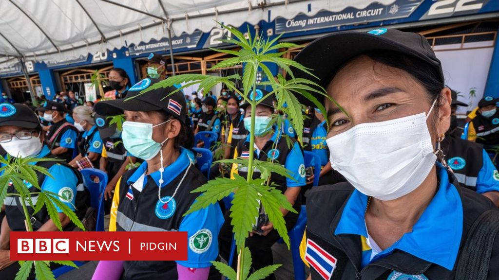 How Thailand take move from death penalty for drugs, to legalize