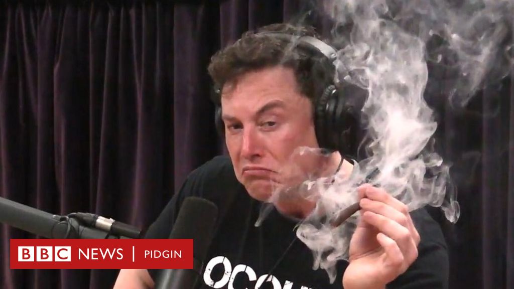 Why Elon Musk dey shack gbana for web video - BBC News Pidgin