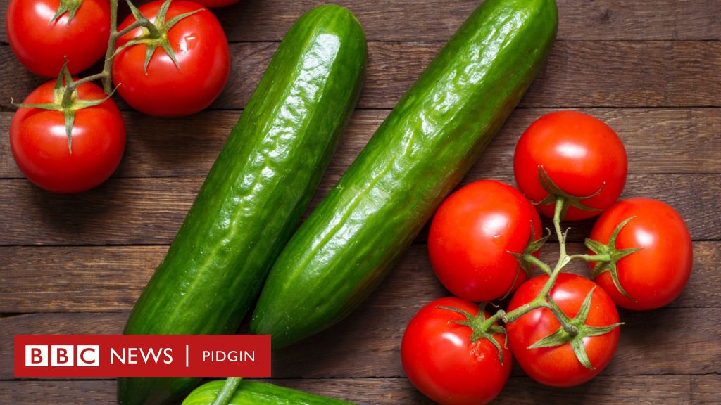 How to make cucumber stew: Health benefits of cucumber, tomatoes plus oda tins to know – BBC News Pidgin