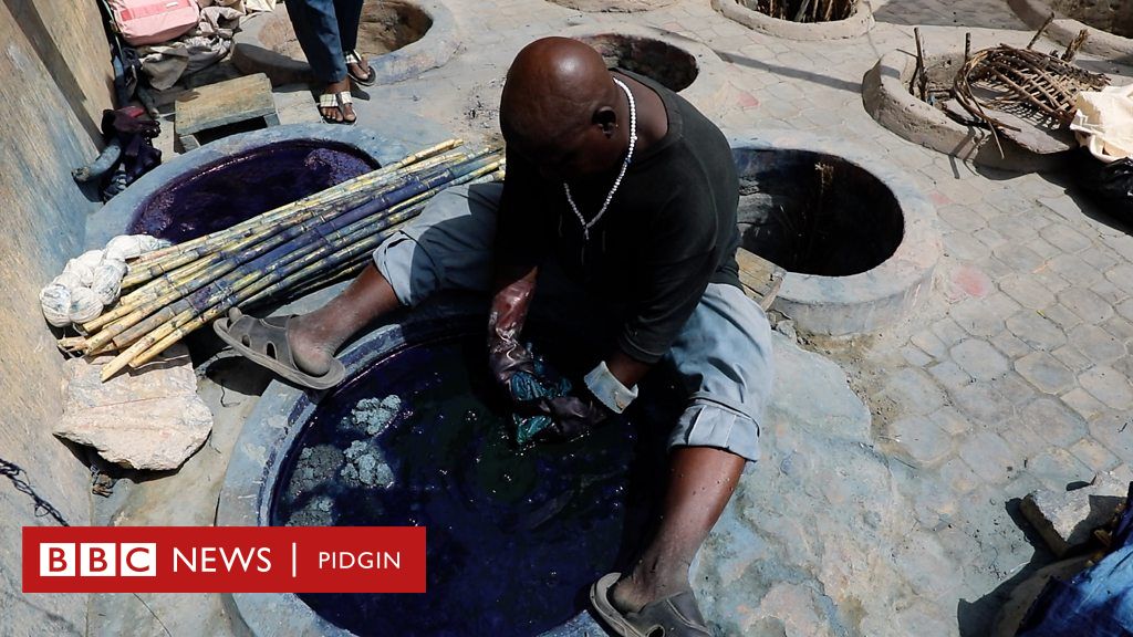 BBC News Africa - The Kofar Mata dye pits in Kano, Nigeria