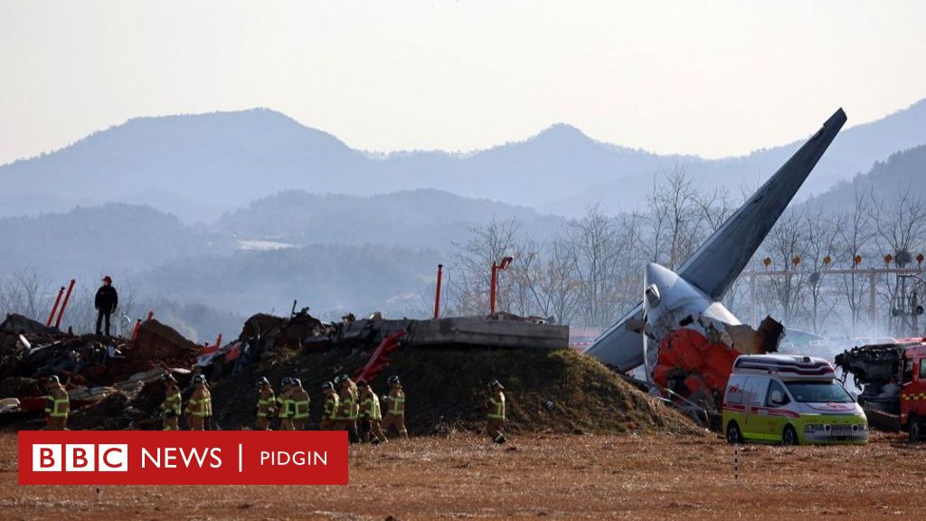 South Korea airplane crash: Ova 160 pipo die as plane crash di moment e land for airport – BBC News Pidgin