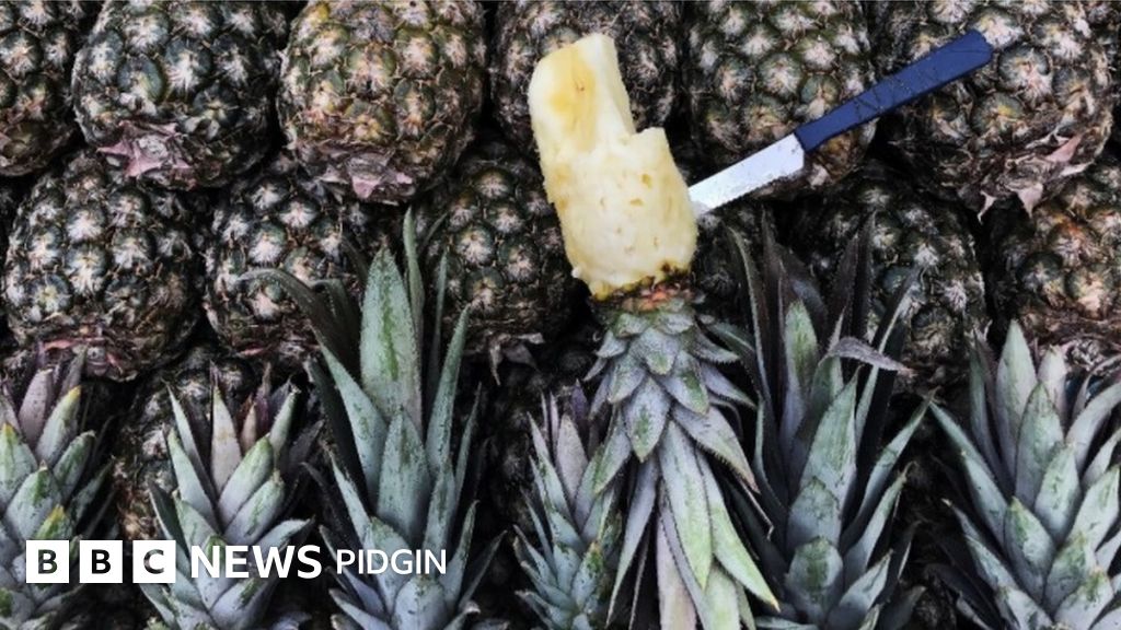 Police seize container wey get cocaine inside pineapple BBC News Pidgin