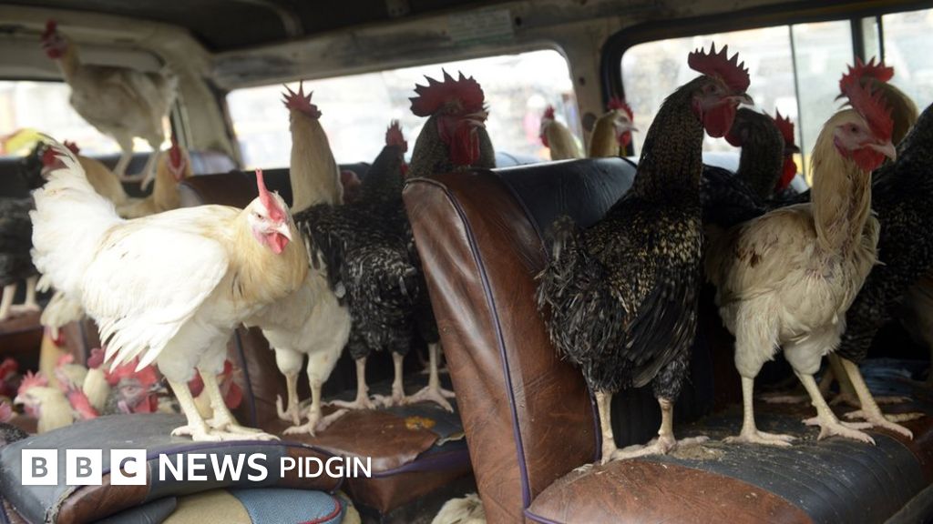 bbc news pidgin
