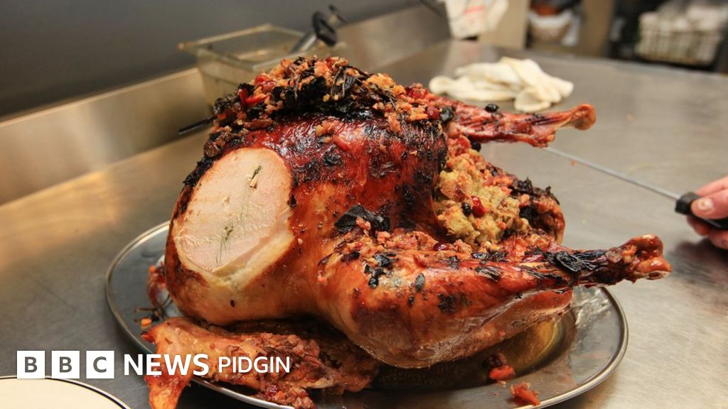 Shoprite Free Turkey Christmas 2022 Thanksgiving Day: Why Americans Dey Like To Kill Tolotolo For Celebration?  - Bbc News Pidgin
