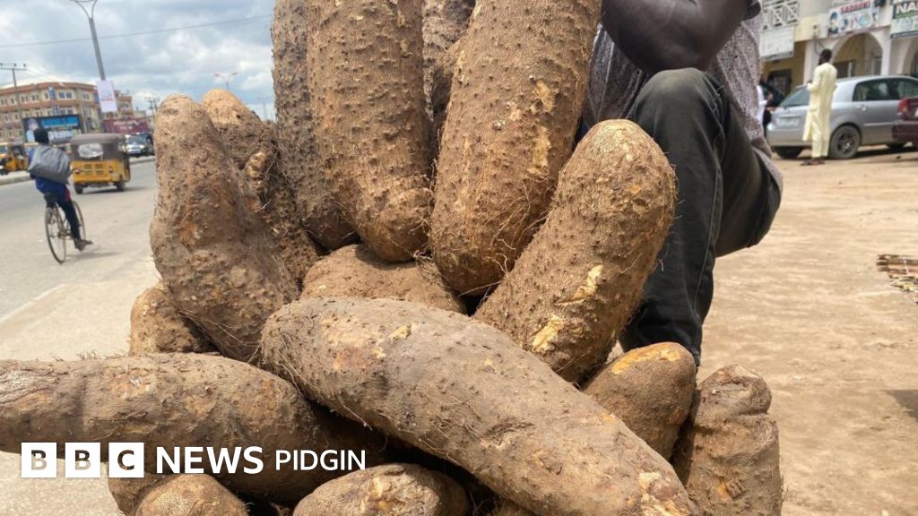 High cost of living in Nigeria Real reasons why cost of yam don go up for di kontri BBC News