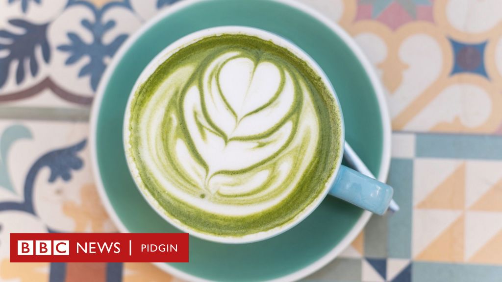 Matcha Mania: Unveiling the Truth Behind the Green Tea Trend - Expert Insights