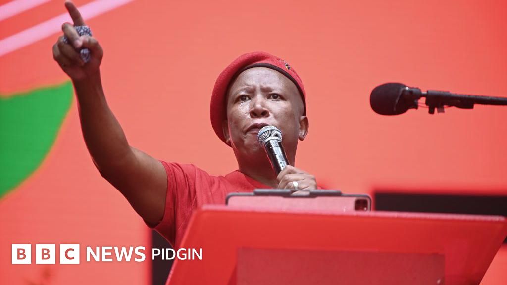 Julius Malema: EFF leader 'Kill the Boer' song make Trump ask why Ramaphosa neva arrest am - BBC News Pidgin