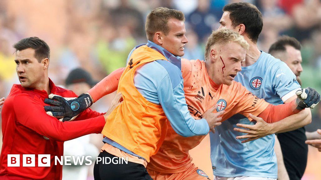 Melbourne CityMelbourne Victory game Spectator injure player, referee