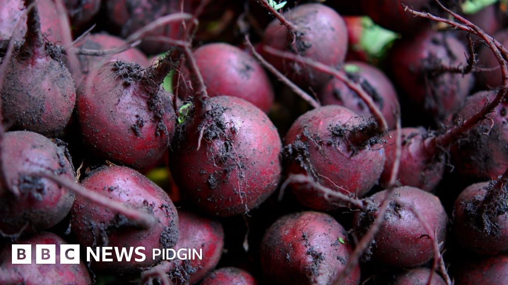 Top 10 health benefits of beetroot according to sabi pipo
