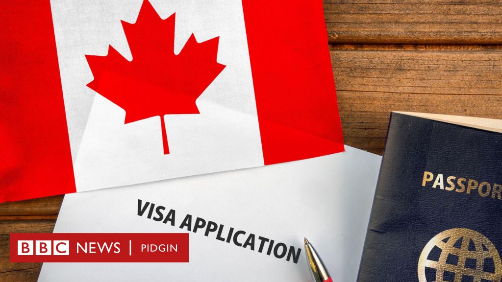 Canada visa: Canada make new rules to cancel temporary resident visas, work and study permit – Who go dey affected – BBC News Pidgin
