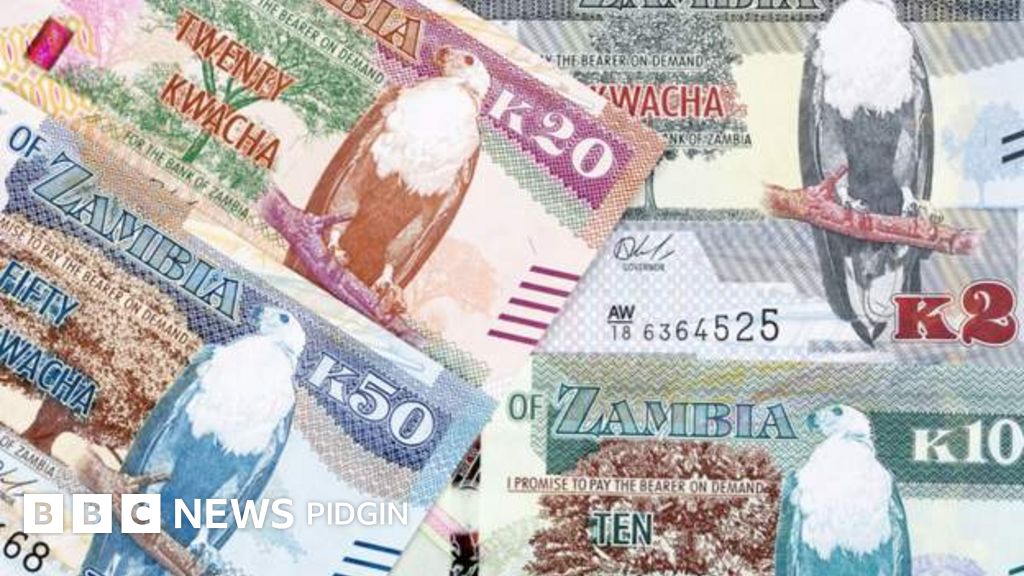 Zambia Kwancha Which Kontri Be Di Top Performing Currency For Africa 