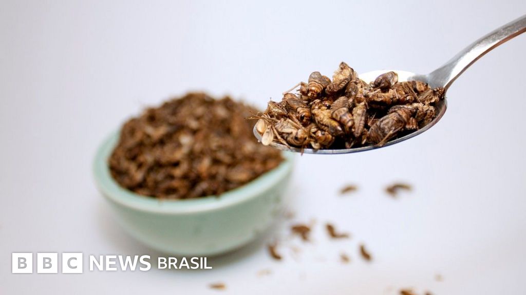 Quantos insetos você precisaria comer para substituir frango, porco ou carne bovina?