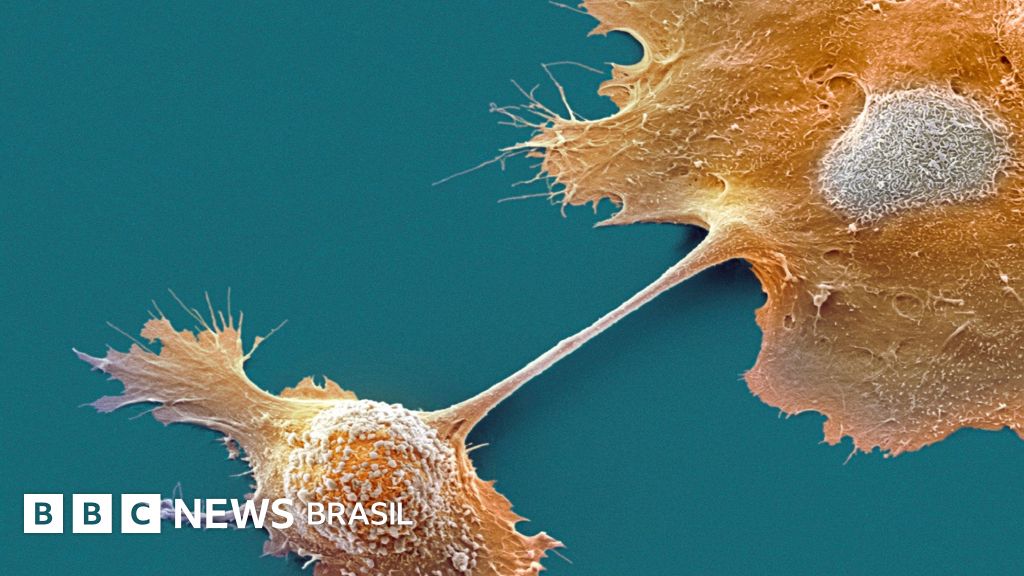 Como age a pílula que dá esperança contra um dos c