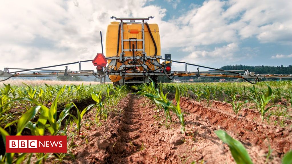 As Plantações de Soja e o Impacto Ambiental causado na Água e Solo