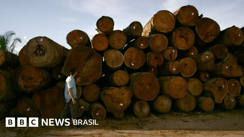 MPF vai apurar venda ilegal de terras na Amazônia via Facebook revelada pela BBC