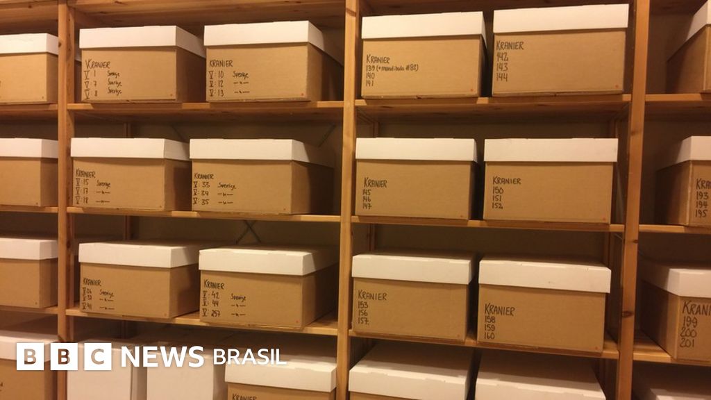 Briga sobre ‘herança racista’ na Suécia inclui 9 crânios brasileiros