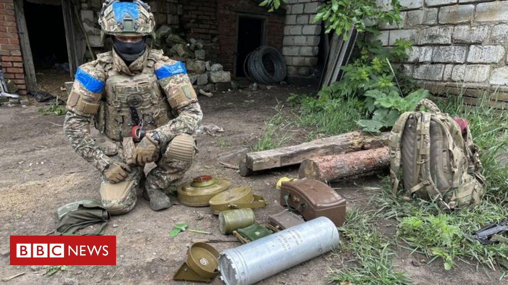 Guerra na Ucrânia: os mortais campos minados que limitam avanço de tropas